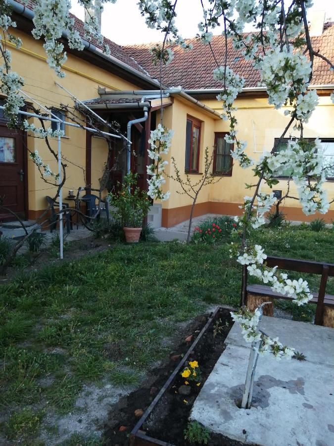 Harsfak Villa Mezokovacshaza Buitenkant foto