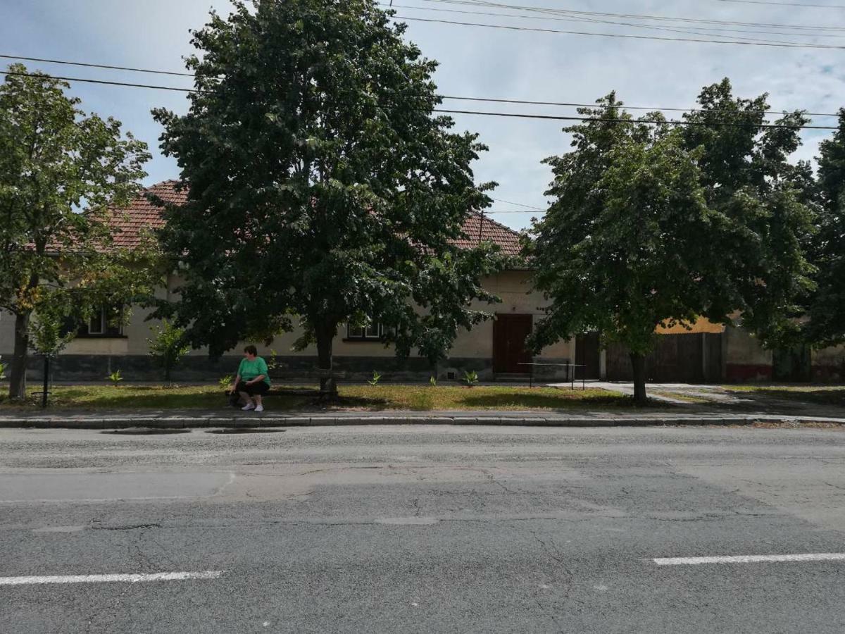 Harsfak Villa Mezokovacshaza Buitenkant foto