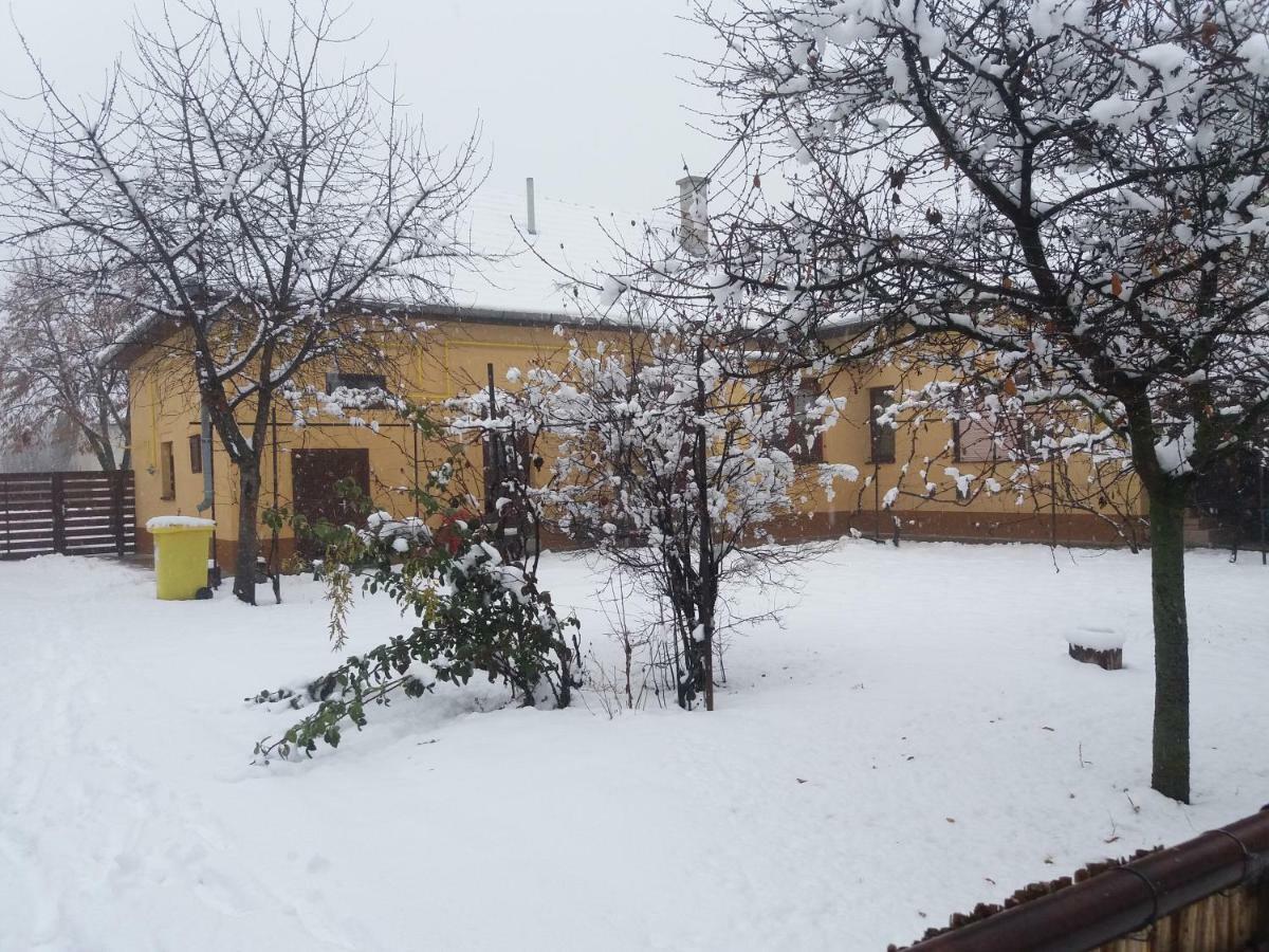Harsfak Villa Mezokovacshaza Buitenkant foto