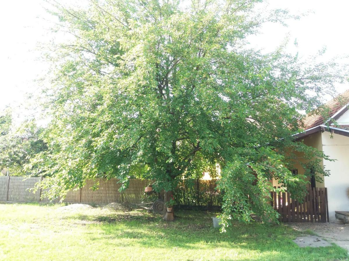 Harsfak Villa Mezokovacshaza Buitenkant foto